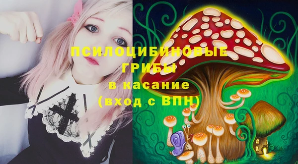 стафф Пролетарск