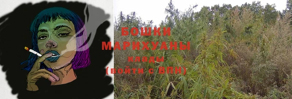 дживик Протвино