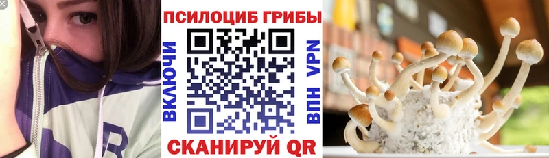 Галлюциногенные грибы Psilocybine cubensis  купить наркотики цена  Подпорожье 